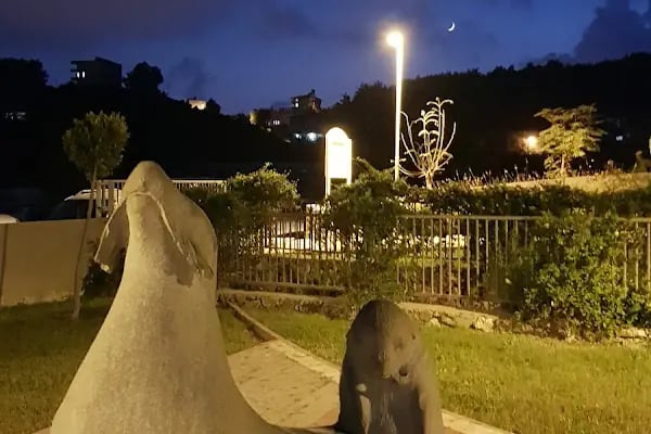 Çıplaklı parkı - Resim 13
