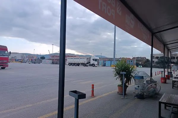 Gemlik Borusan Tir Parki - Resim 3