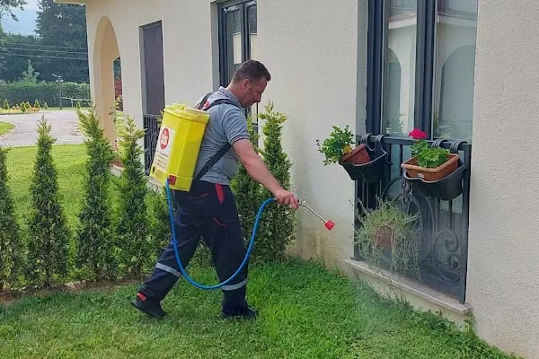 S.i.s. Sakarya İlaçlama Servisi - Resim 9