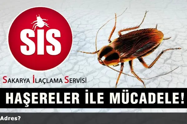 S.i.s. Sakarya İlaçlama Servisi - Resim 15