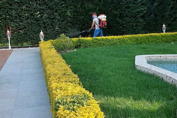 S.i.s. Sakarya İlaçlama Servisi - Resim 5
