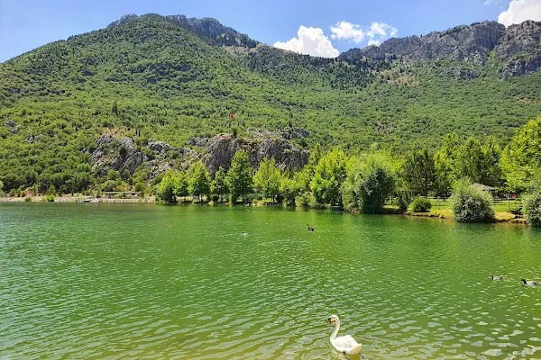 Kuğulu Tabiat Parkı - Resim 5