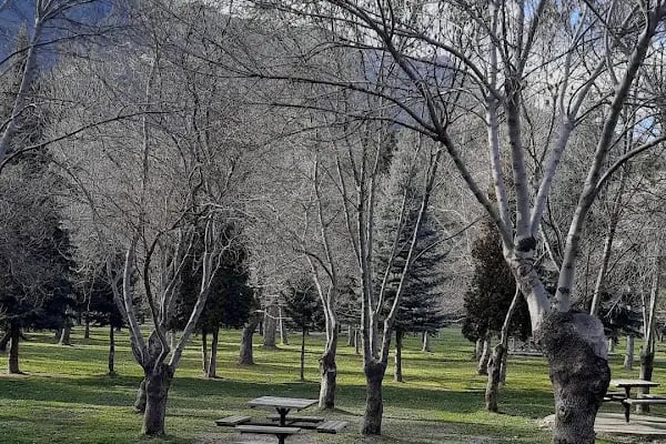 Kuğulu Tabiat Parkı - Resim 20