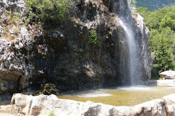 Kuğulu Tabiat Parkı - Resim 10