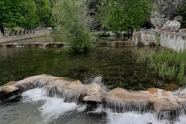 Kuğulu Tabiat Parkı - Resim 18