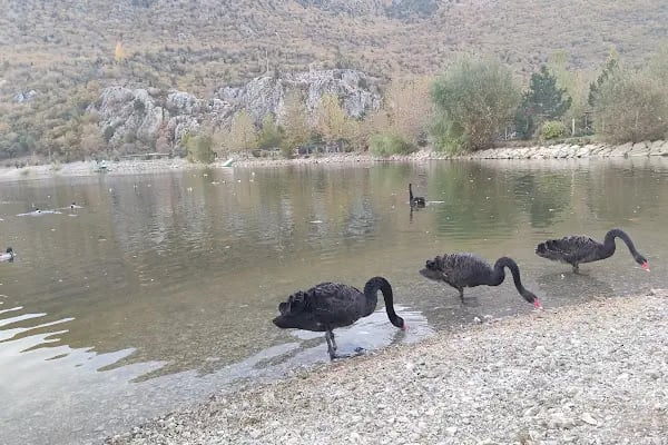 Kuğulu Tabiat Parkı - Resim 13