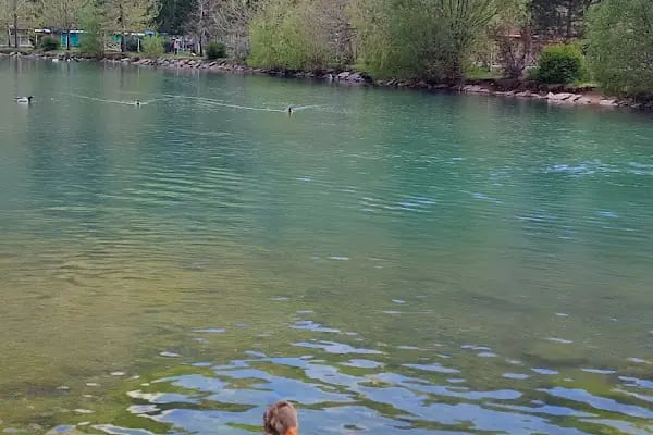 Kuğulu Tabiat Parkı - Resim 9