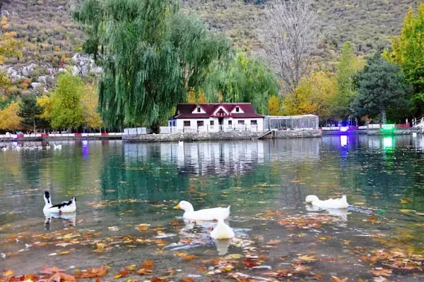 Kuğulu Tabiat Parkı - Resim 2