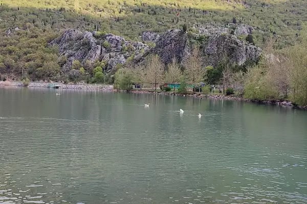 Kuğulu Tabiat Parkı - Resim 12