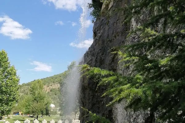 Kuğulu Tabiat Parkı - Resim 17