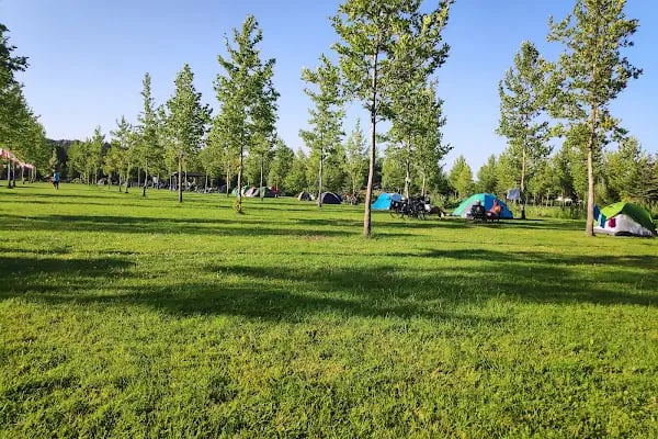 Kuğulu Tabiat Parkı - Resim 11