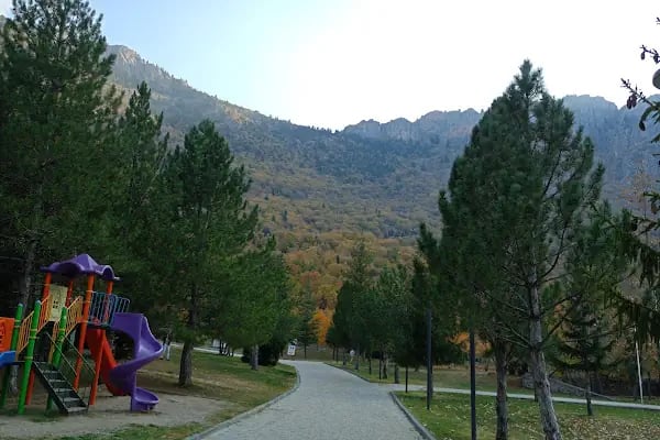 Kuğulu Tabiat Parkı - Resim 4
