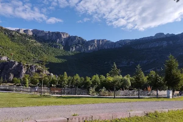 Kuğulu Tabiat Parkı - Resim 6
