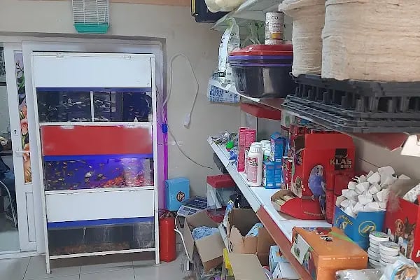 Ceyhan Duru Pet Shop - Resim 2