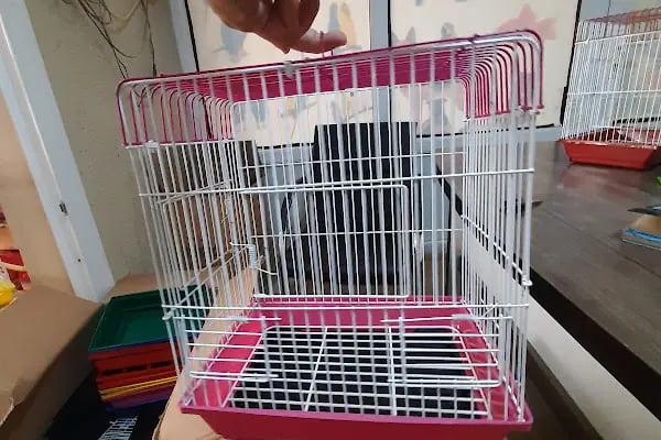 Ceyhan Duru Pet Shop - Resim 14