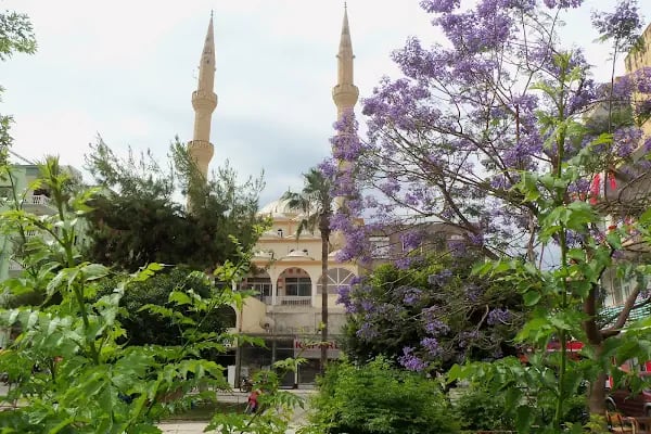 Bayrakçı Cami - Resim 8