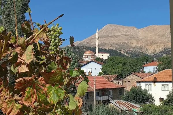 Sedirhan Apart Pansiyon - Resim 13
