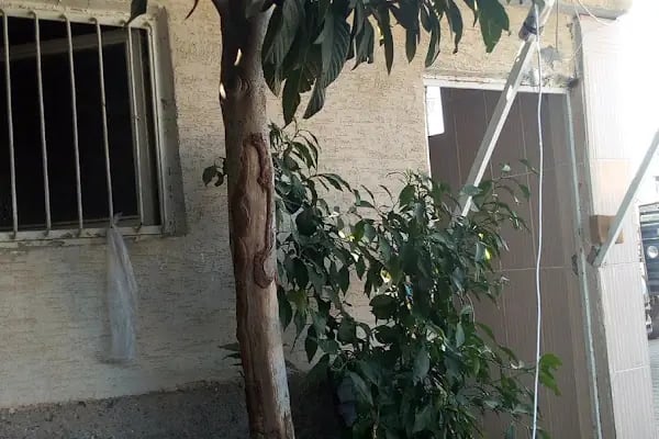 TUNAHAN OTOMOTİV GAZİANTEP - Resim 16