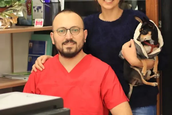 VetGO Veteriner Polikliniği - Resim 12