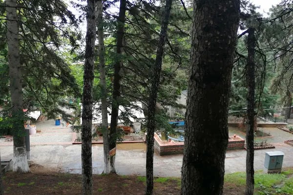 Akşehir Belediyesi Hıdırlık sofrası - Resim 8