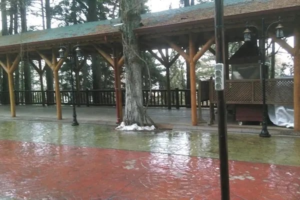 Akşehir Belediyesi Hıdırlık sofrası - Resim 17