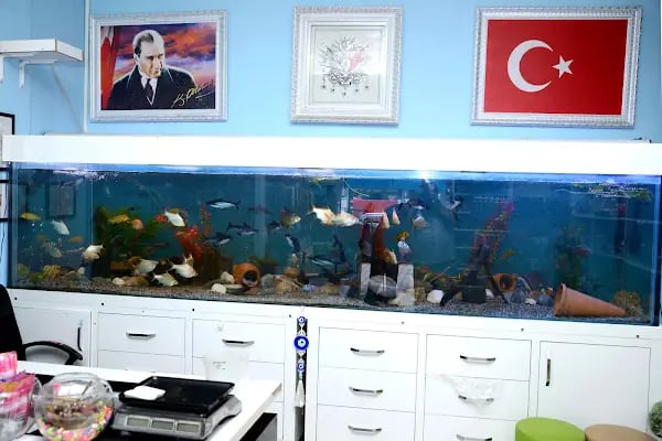 Elif Akvaryum Pet Shop - Resim 3