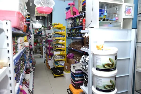 Elif Akvaryum Pet Shop - Resim 19
