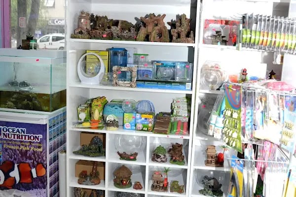 Elif Akvaryum Pet Shop - Resim 13