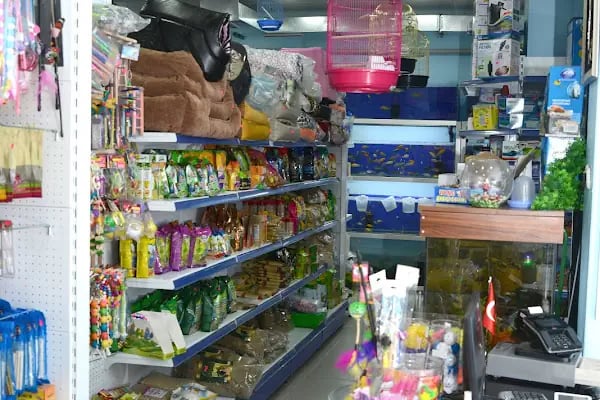 Elif Akvaryum Pet Shop - Resim 10