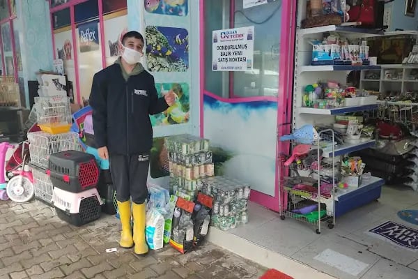 Elif Akvaryum Pet Shop - Resim 16