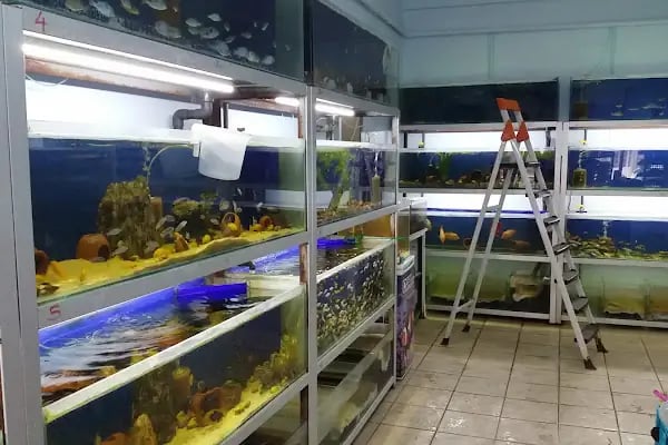 Elif Akvaryum Pet Shop - Resim 12