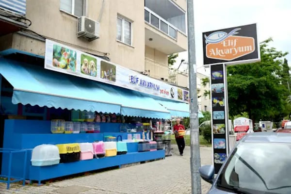 Elif Akvaryum Pet Shop - Resim 17