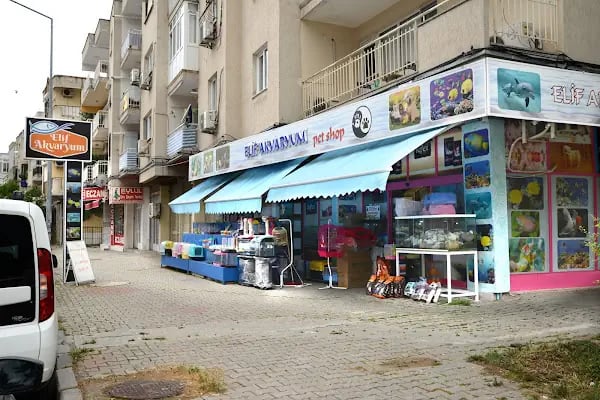 Elif Akvaryum Pet Shop - Resim 14