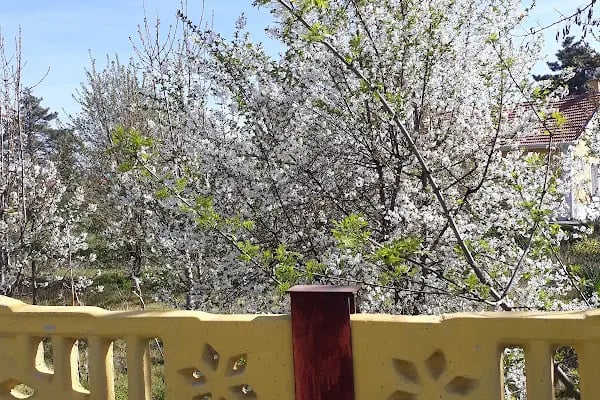 Akşehir Otogarı - Resim 15