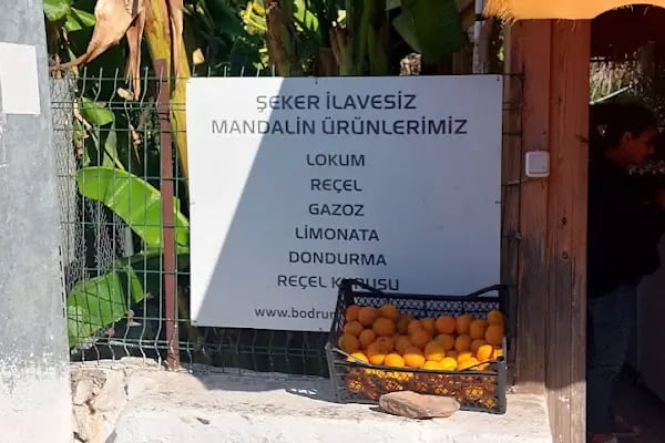 Bodrum Yadigarı - Resim 18