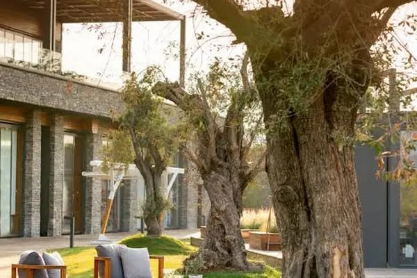 Lujo Hotel Bodrum - Resim 16