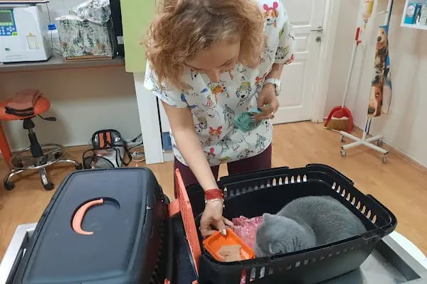Tüzün Veteriner Kliniği - Resim 6
