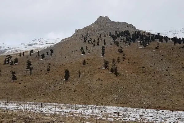 Elmalı Boğazı - Resim 20