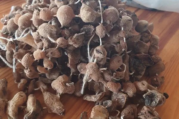 19 Mayıs Salep Evi - Resim 11