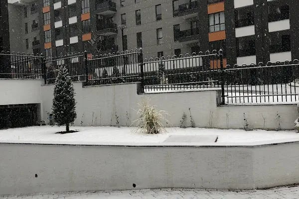 Yükselen Park Mercan - Resim 1