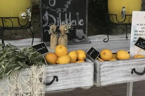Gala Garden Kır Düğün Salonu - Malatya Düğün Salonu - Resim 10