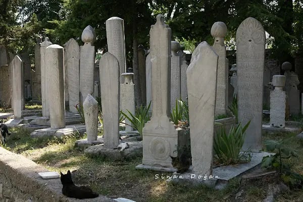Hekimoğlu Ali Paşa Türbesi - Resim 14
