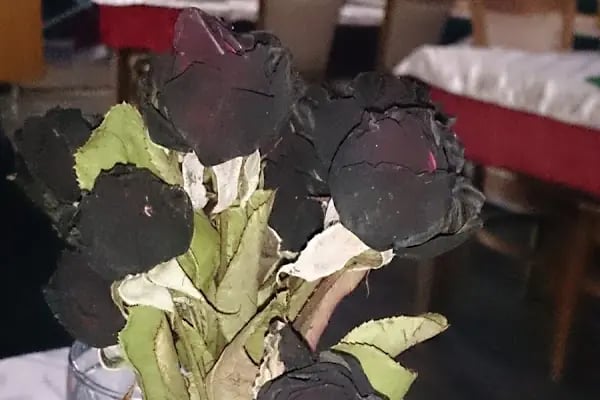 Siyah Gül Restoran - Resim 7