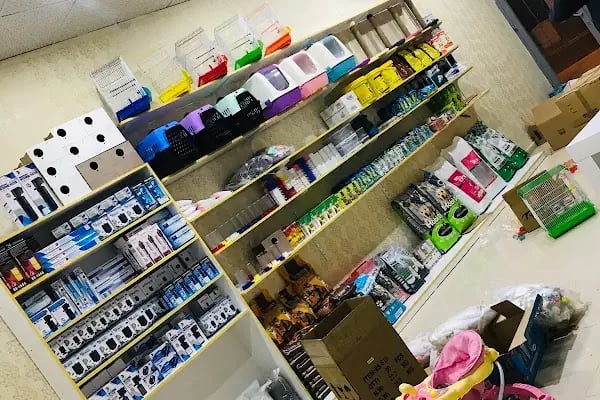 Alya petshop - Resim 15