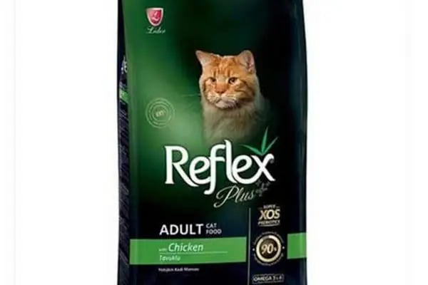 Alya petshop - Resim 6