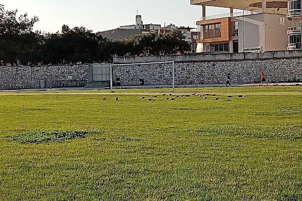 Şehir Stadyumu - Resim 2