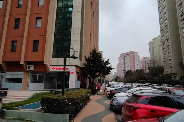 Animalist Veteriner Kliniği - Resim 3