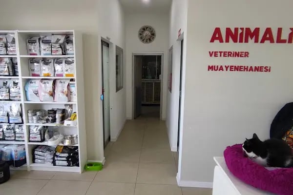 Animalist Veteriner Kliniği - Resim 10