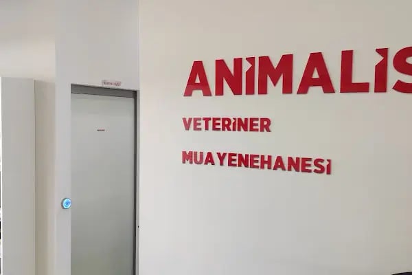 Animalist Veteriner Kliniği - Resim 6