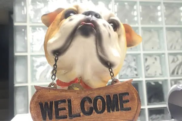 Bakırköy Veteriner - Citypet Veteriner Kliniği - Resim 10
